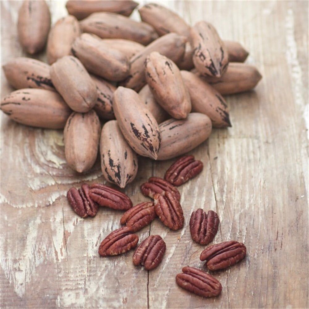 Pikan Cevizi (250 Gr)