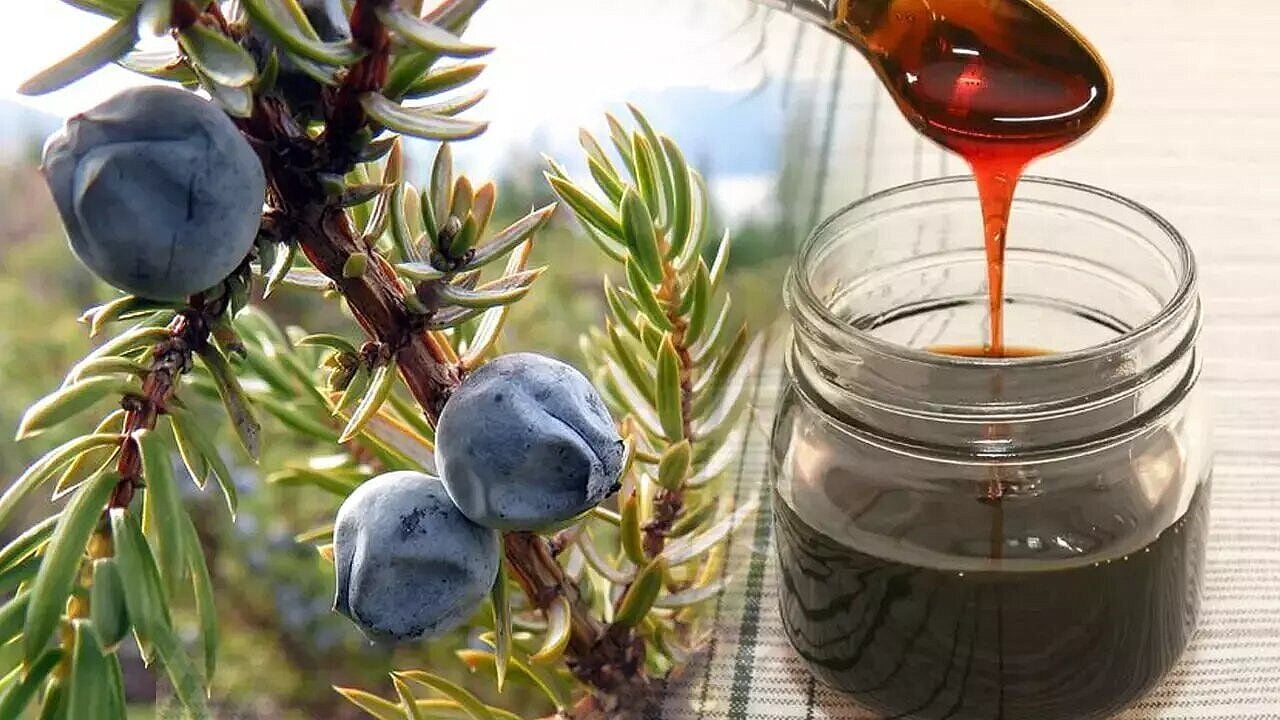 Andız Pekmezi (700 Gr)