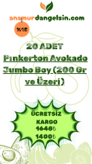 20 ADET Pınkerton Avokado Jumbo Boy (200 Gr ve Üzeri)